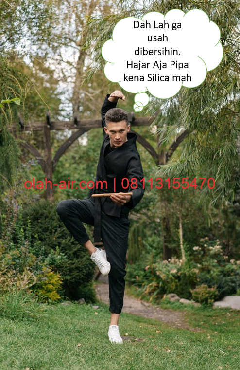 Hayolah buang itu silica dalam pipa dengan EDTA