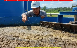 Studi Kasus Kontraktor WWTP