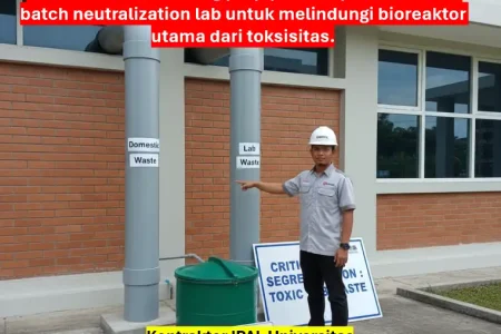 Kontraktor STP Universitas