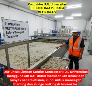 Kontraktor STP Universitas